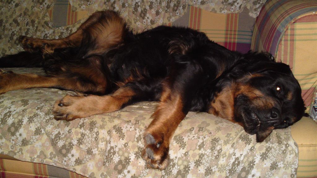 20100103226.JPG